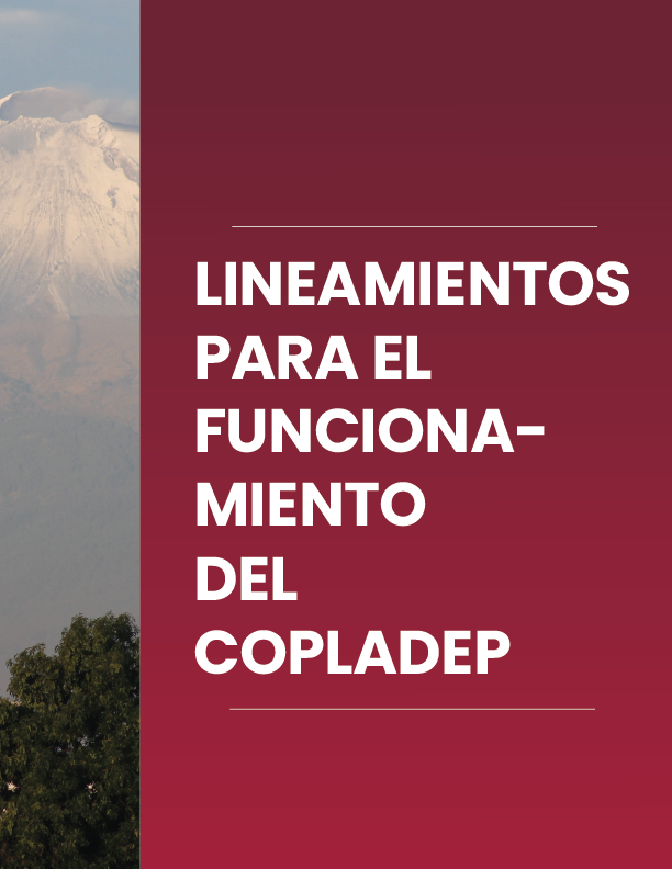 Portada de Documento Lineamientos para el Funcionamiento del Comité de Planeación para el Desarrollo del Estado de Puebla.